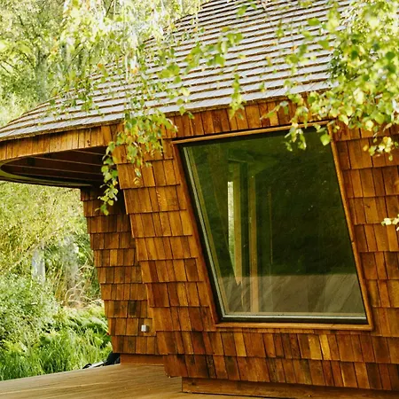 Semesterbostad Architectural Tiny House With Sauna Near